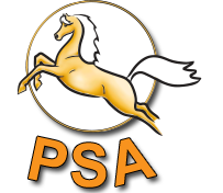 Palomino Logo